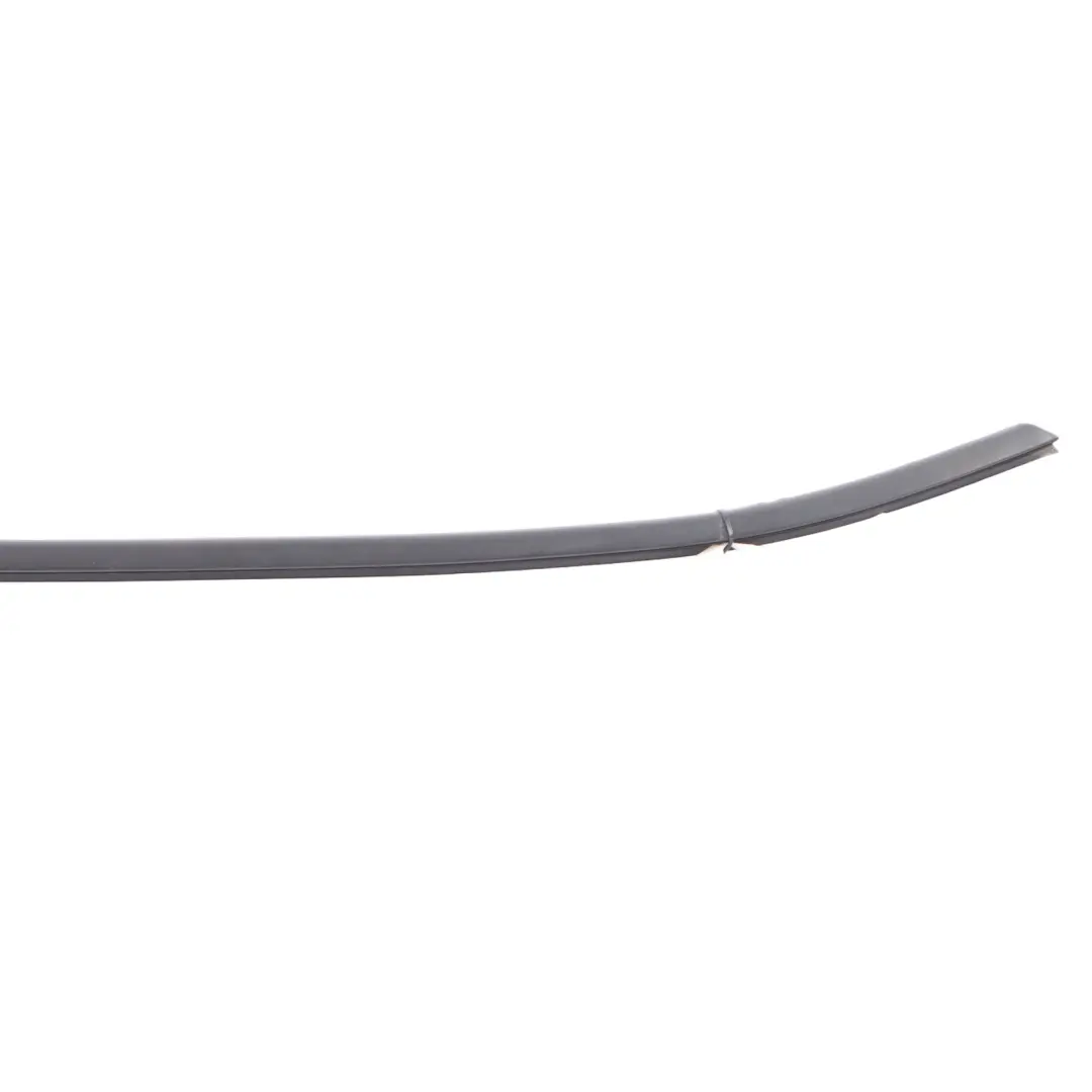 BMW X3 F25 Guarnizione porta anteriore canale esterno copertura destra - SKU 7317906 - Numero di parte 7317906