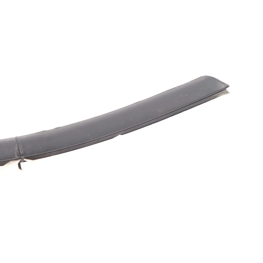 BMW X3 F25 Front Door Weather Strip Seal Outer Channel Cover Right O/S - SKU 7317906 - Part number 7317906