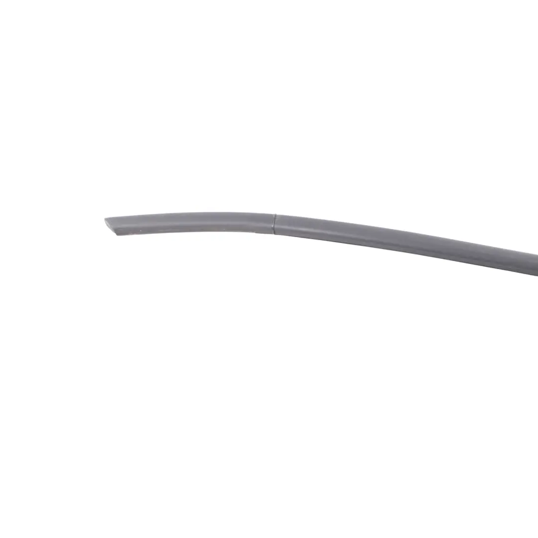 BMW X3 F25 Guarnizione porta anteriore canale esterno copertura destra - SKU 7317906 - Numero di parte 7317906
