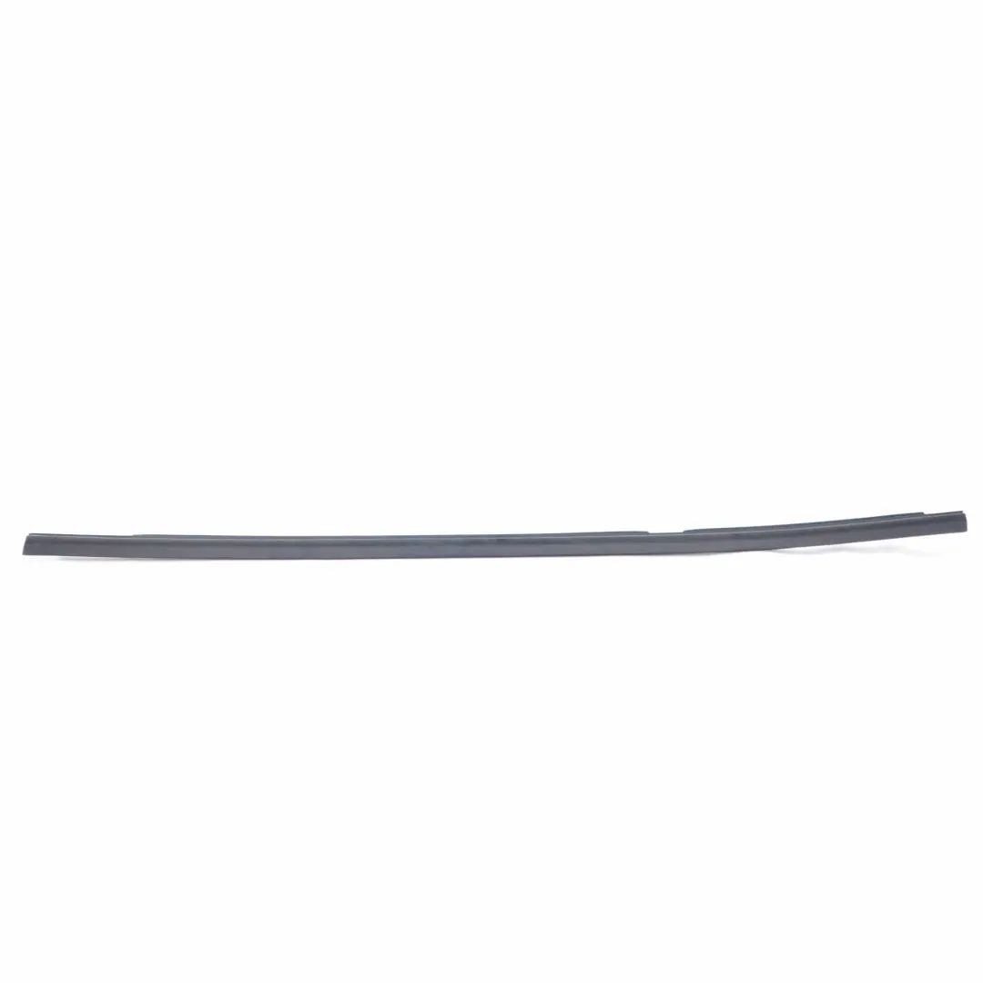 BMW X3 F25 Fensterleiste Formteil Tür hinten links Trim Dichtung Schwarz - SKU 7317907 - Teilenummer 7317907