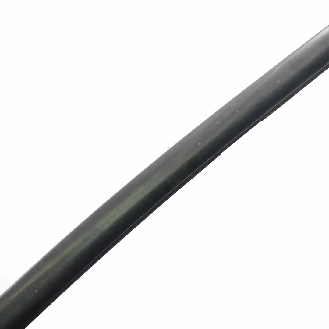 BMW X3 F25 Fensterleiste Formteil Tür hinten links Trim Dichtung Schwarz - SKU 7317907 - Teilenummer 7317907