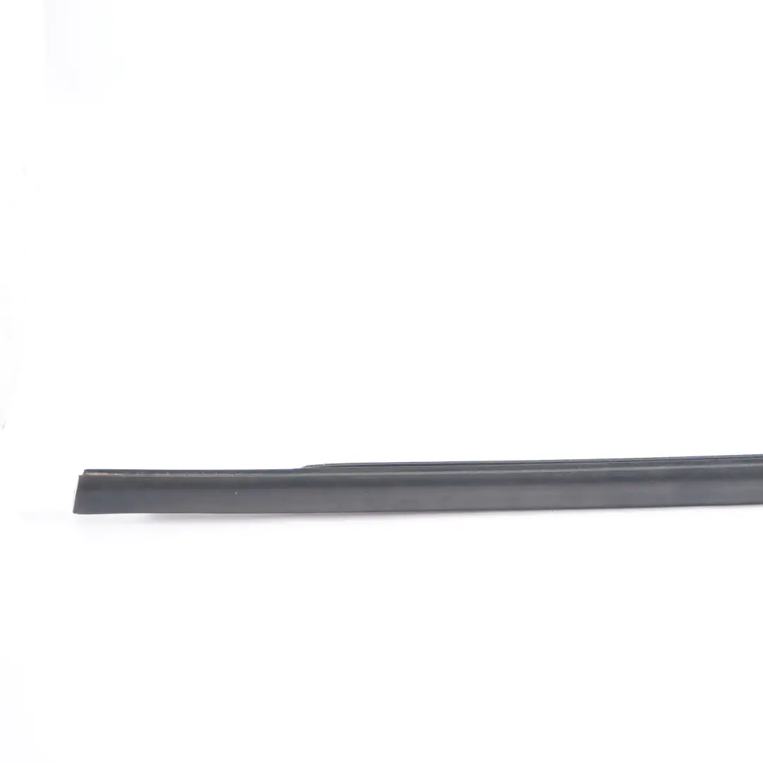 BMW X3 F25 Finestra Striscia Modanatura Porta Posteriore Sinistra Nero - SKU 7317907 - Numero di parte 7317907