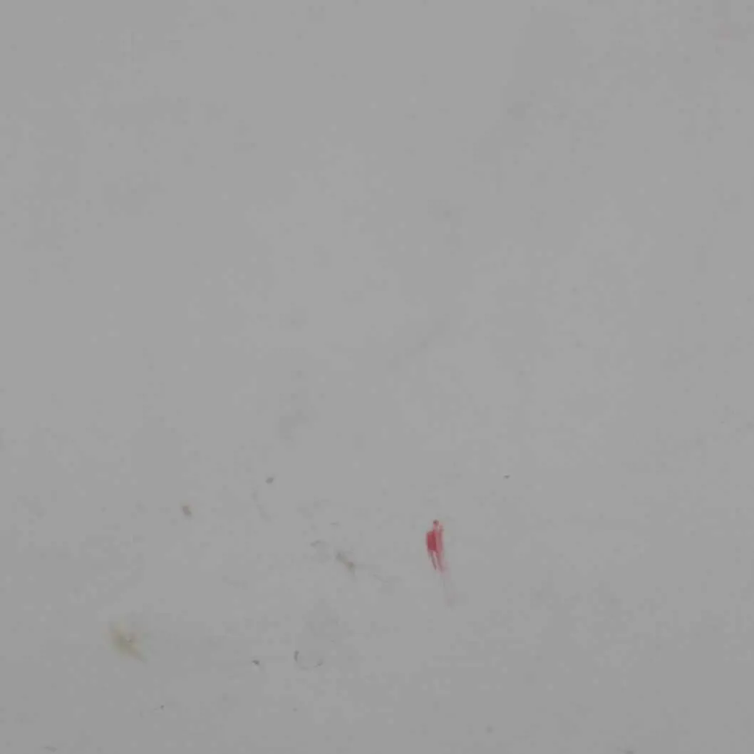 Klapa Bagażnika White Silver - A62 do Mini F56 o numerze 7320545 Mini F56 Klapa Bagażnika White Silver - A62 - SKU 7320545-WS1 - Numer Części 7320545