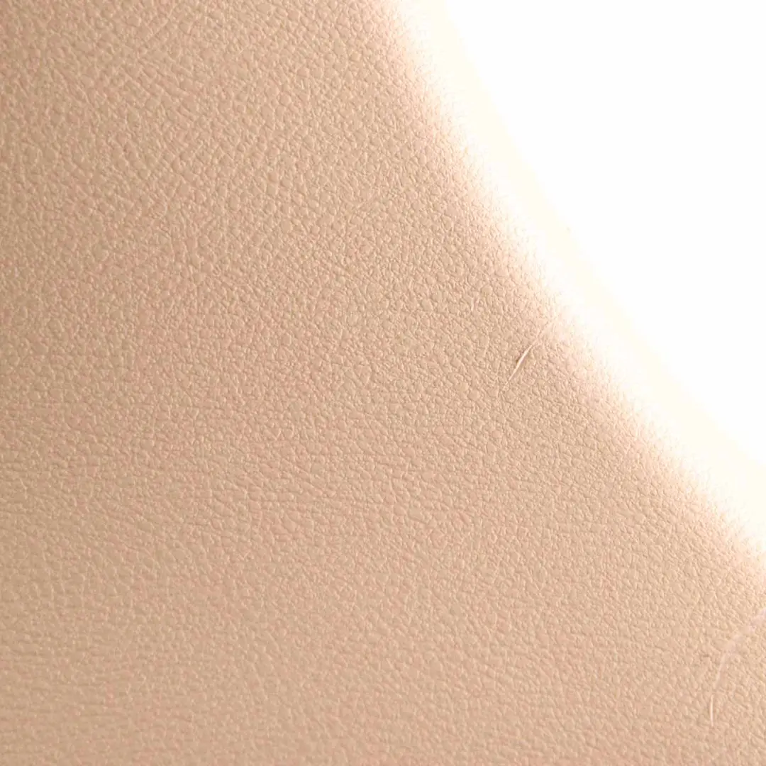 Revestimiento Pilar Columna B Panel Inferior Izquierdo Beige 9169307 para BMW X3 F25 con número de pieza 7324363 BMW X3 F25 Revestimiento Pilar Columna B Panel Inferior Izquierdo Beige 9169307 - SKU 7324363 - Número de pieza 7324363
