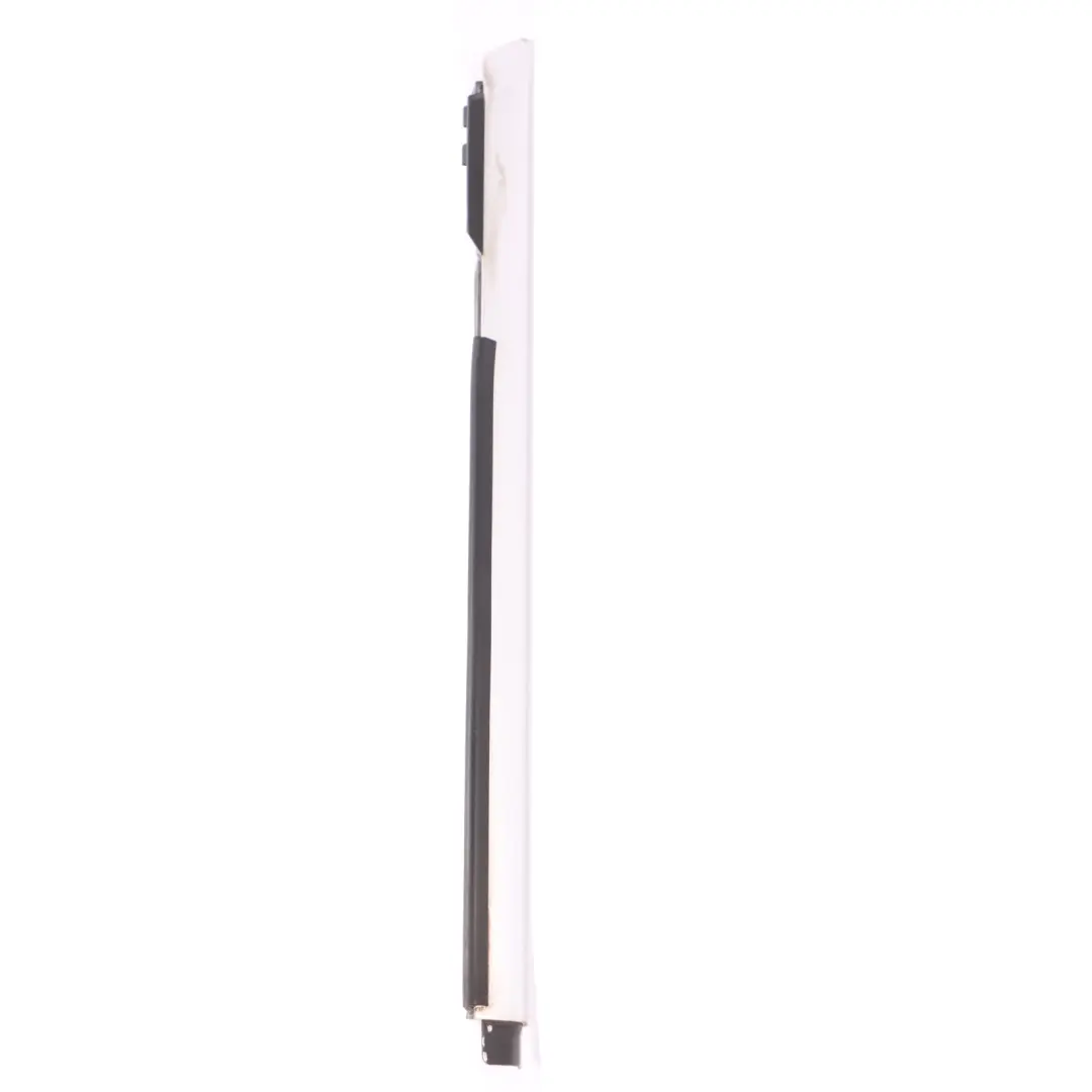  Tira de Ventana BMW F34 GT Puerta Delantera Derecha Tapa Sello Exterior - SKU 7325316 - Número de pieza 7325316