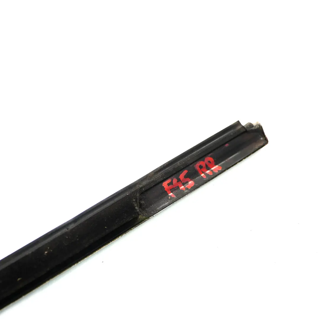 Canale Copertura Esterno Porta Linea Cromata Posteriore Destra per BMW F45 con numero di parte 7326142 BMW F45 Canale Copertura Esterno Porta Linea Cromata Posteriore Destra - SKU 7326142 - Numero di parte 7326142