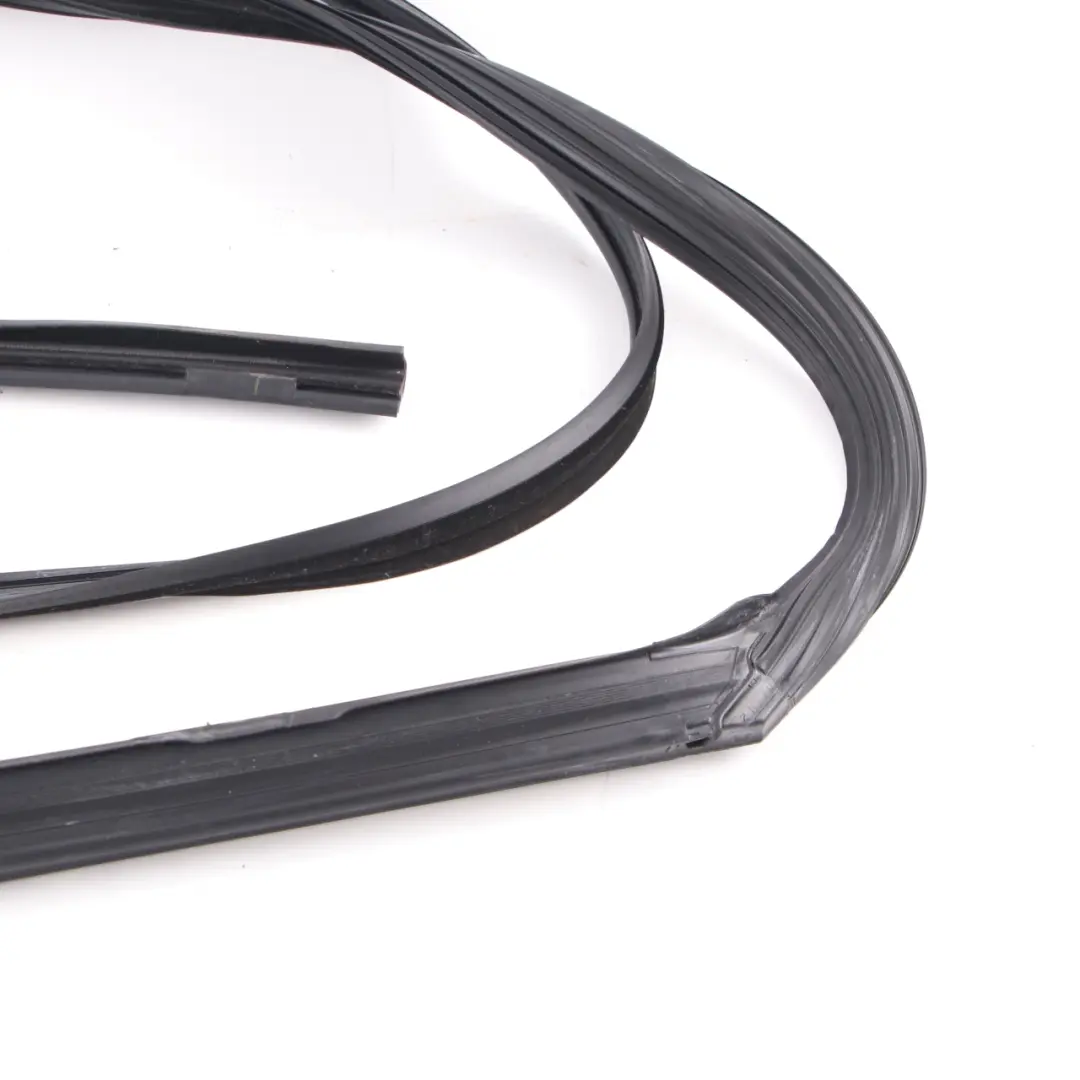  Guarnizione finestrino porta BMW G30 G31 Guida anteriore sinistra tenuta - SKU 7336963 - Numero di parte 7336963