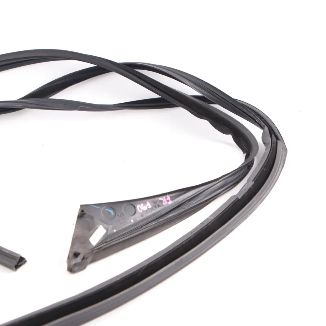 Guarnizione finestrino porta BMW G30 G31 Guida anteriore destra tenuta per con numero di parte 7336964 Guarnizione finestrino porta BMW G30 G31 Guida anteriore destra tenuta - SKU 7336964 - Numero di parte 7336964