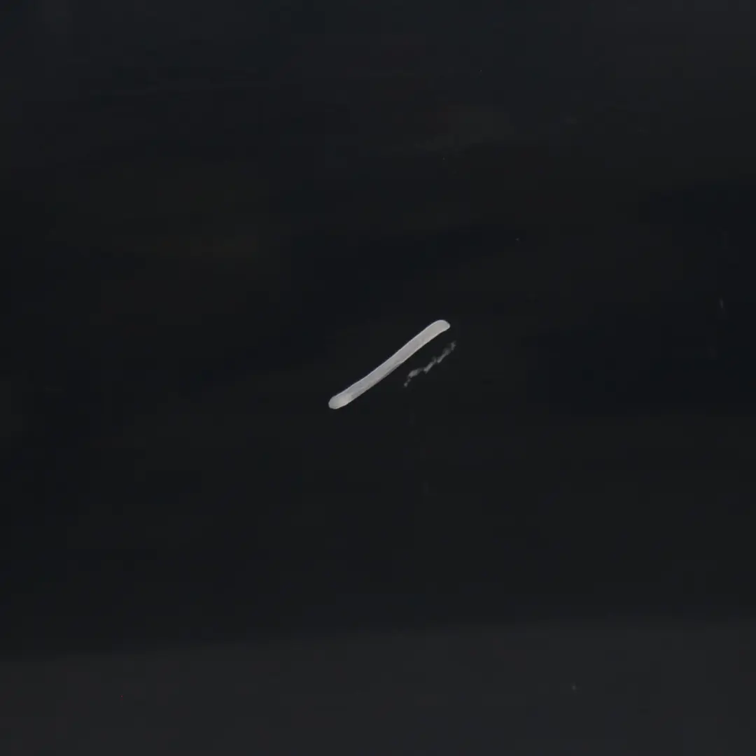 BMW X1 E84 Porta anteriore sinistra Graphitblau Graphite Blue Metallic - B07 - SKU 7339357-GBM - Numero di parte 7339357