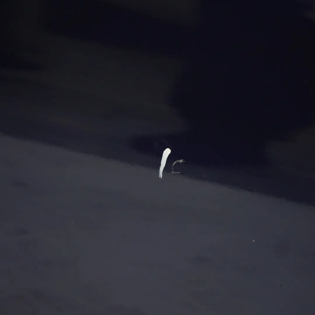 Door Front Right O/S Tiefseeblau Deep Sea Blue Metallic - A76 to BMW X1 E84 with Part number 7339358 BMW X1 E84 Door Front Right O/S Tiefseeblau Deep Sea Blue Metallic - A76 - SKU 7339358-DSB1 - Part number 7339358