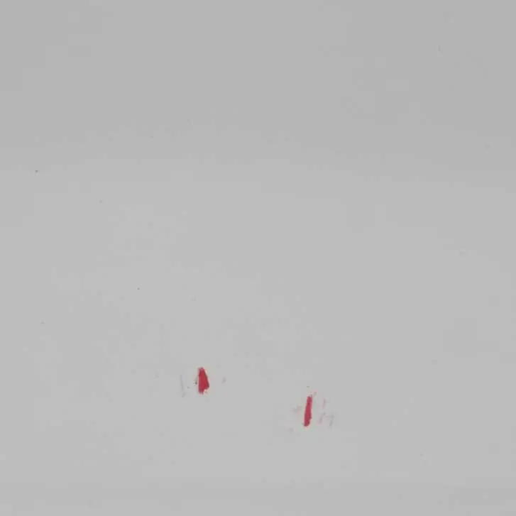 Droite Blanc Minéral Métallisé - A96 pour BMW X1 E84 Porte Avant à propos du numéro de pièce 7339358 BMW X1 E84 Porte Avant Droite Blanc Minéral Métallisé - A96 - SKU 7339358-MW - Numéro de pièce 7339358