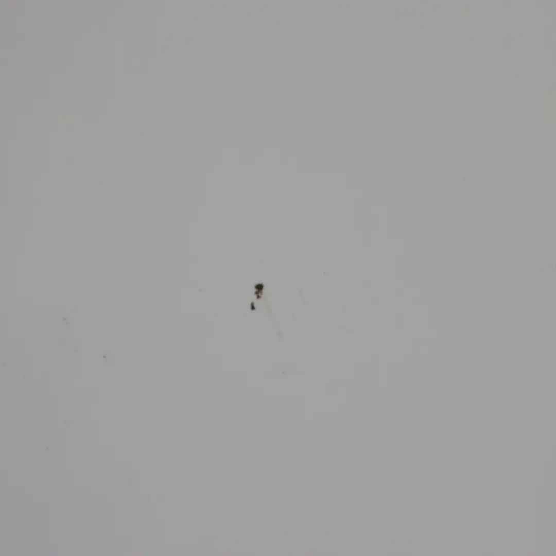 Puerta Delantera Derecha Blanco Mineral Metalizado - A96 para BMW X1 E84 con número de pieza 7339358 BMW X1 E84 Puerta Delantera Derecha Blanco Mineral Metalizado - A96 - SKU 7339358-MW - Número de pieza 7339358