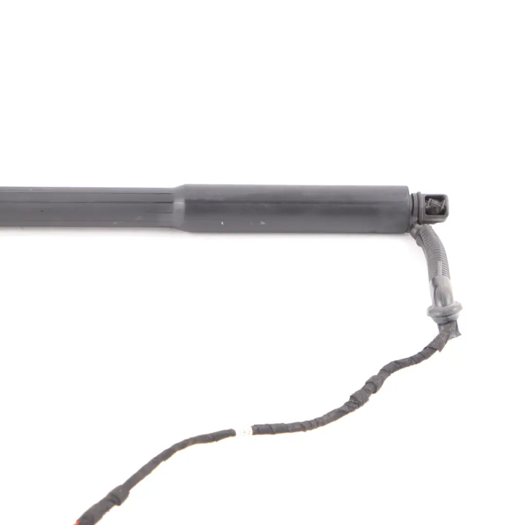 Elektrischer Heckklappendämpfer Spindelantrieb Rechts für BMW 3 er F31 mit Teilenummer 7340976 BMW 3 er F31 Elektrischer Heckklappendämpfer Spindelantrieb Rechts - SKU 7340976-1 - Teilenummer 7340976