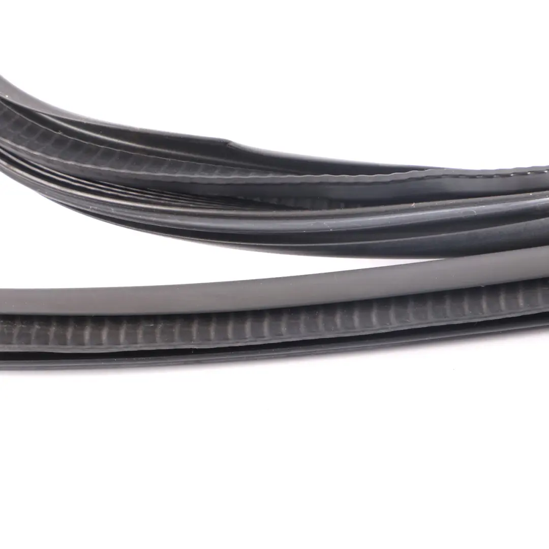 Dichtung Kantenschutz Türgummi Vorne Links Rechts für Mini F54 mit Teilenummer 7344159 Mini F54 Dichtung Kantenschutz Türgummi Vorne Links Rechts - SKU 7344159 - Teilenummer 7344159