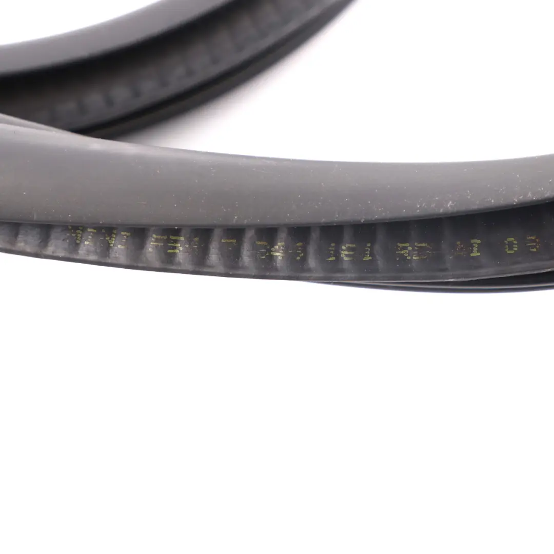 Mini F54 Kantenschutz Türdichtung Gummi Hinten Links Rechts - SKU 7344161 - Teilenummer 7344161