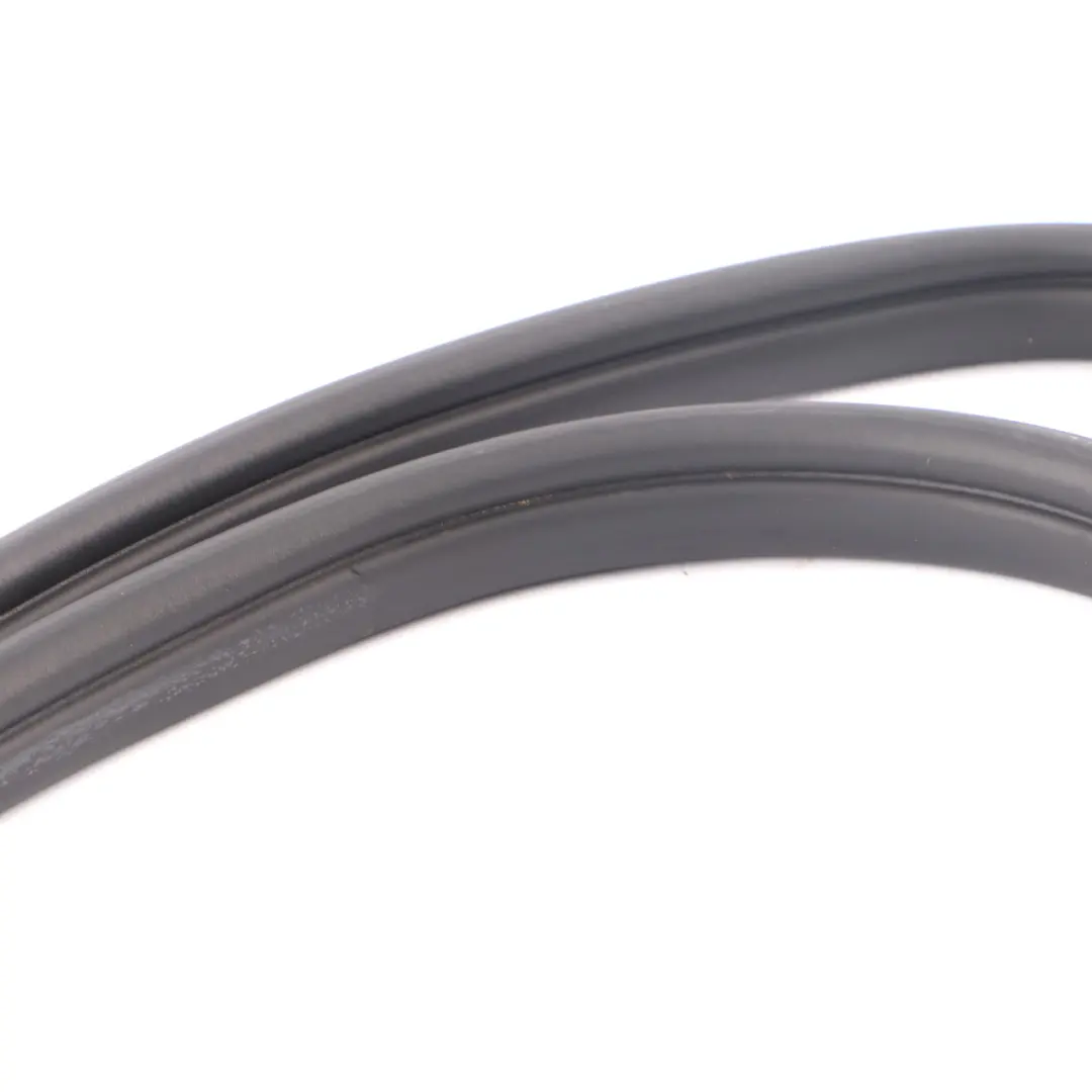 Mini F54 Seal Edge Protection Door Seal Rubber Rear Left Right N/O/S - SKU 7344161 - Part number 7344161