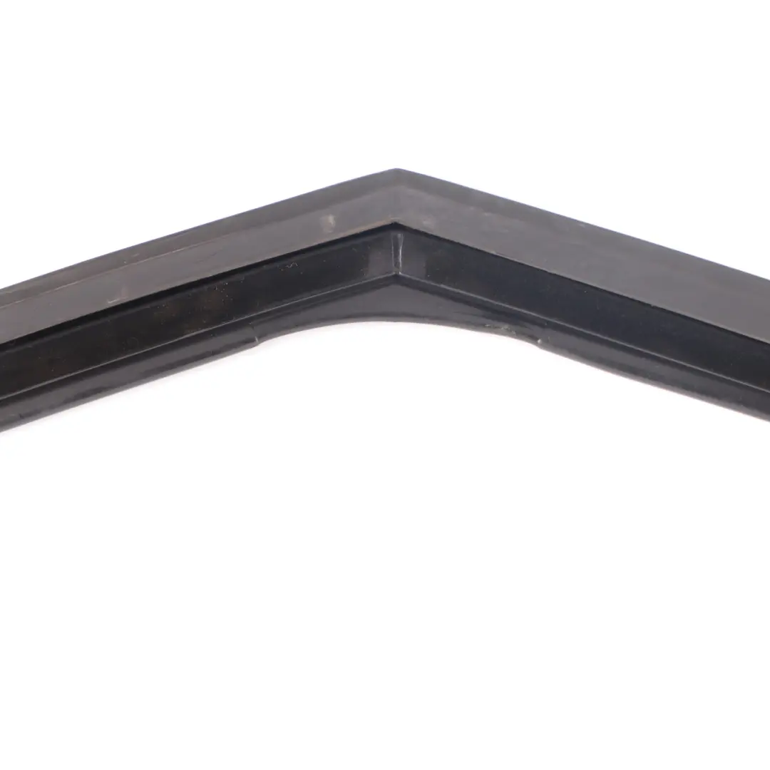  Window Guide Mini Clubman F54 Front Door Sealing Gasket Frame Right O/S - SKU 7344164 - Part number 7344164