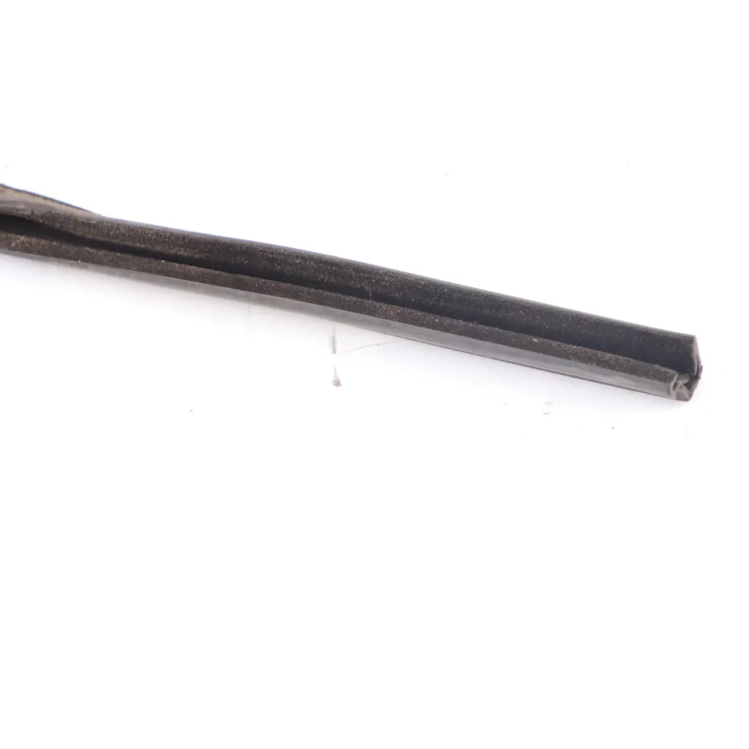 Guida Finestra Mini Clubman F54 Posteriore Destra Porta Guarnizione per con numero di parte 7344166 Guida Finestra Mini Clubman F54 Posteriore Destra Porta Guarnizione - SKU 7344166 - Numero di parte 7344166