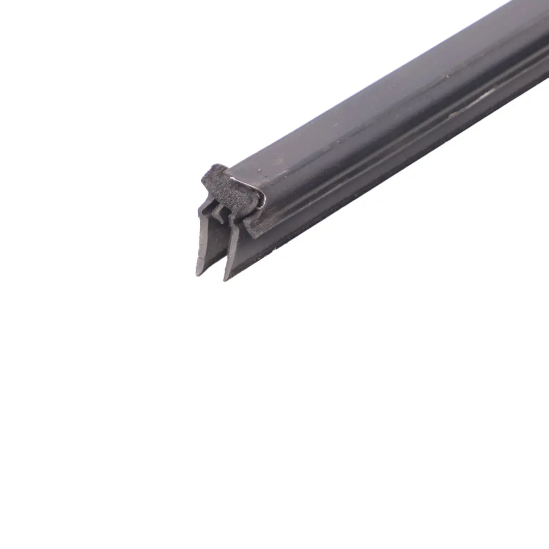 Mini Clubman F54 Front Door Strip Moulding Channel Seal Inside Left N/S - SKU 7344167 - Part number 7344167