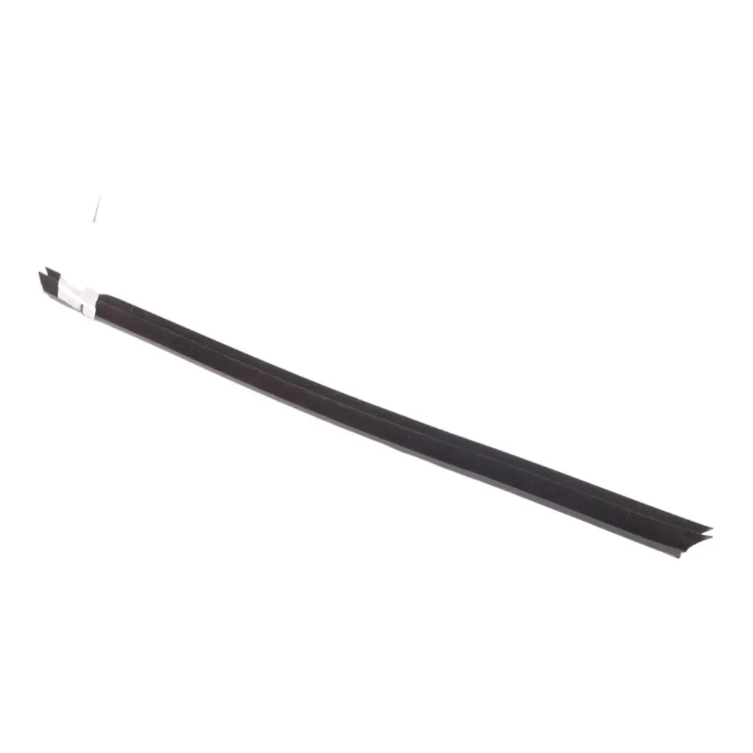 Mini Clubman F54 Door Window Strip Moulding Sealing Front Right O/S - SKU 7344168 - Part number 7344168