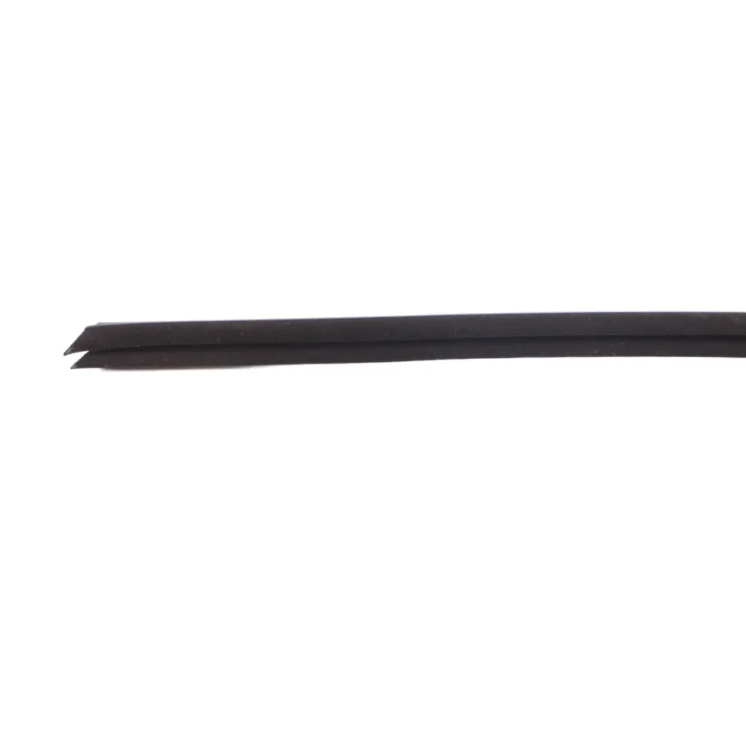 Mini Clubman F54 Door Window Strip Moulding Sealing Front Right O/S - SKU 7344168 - Part number 7344168
