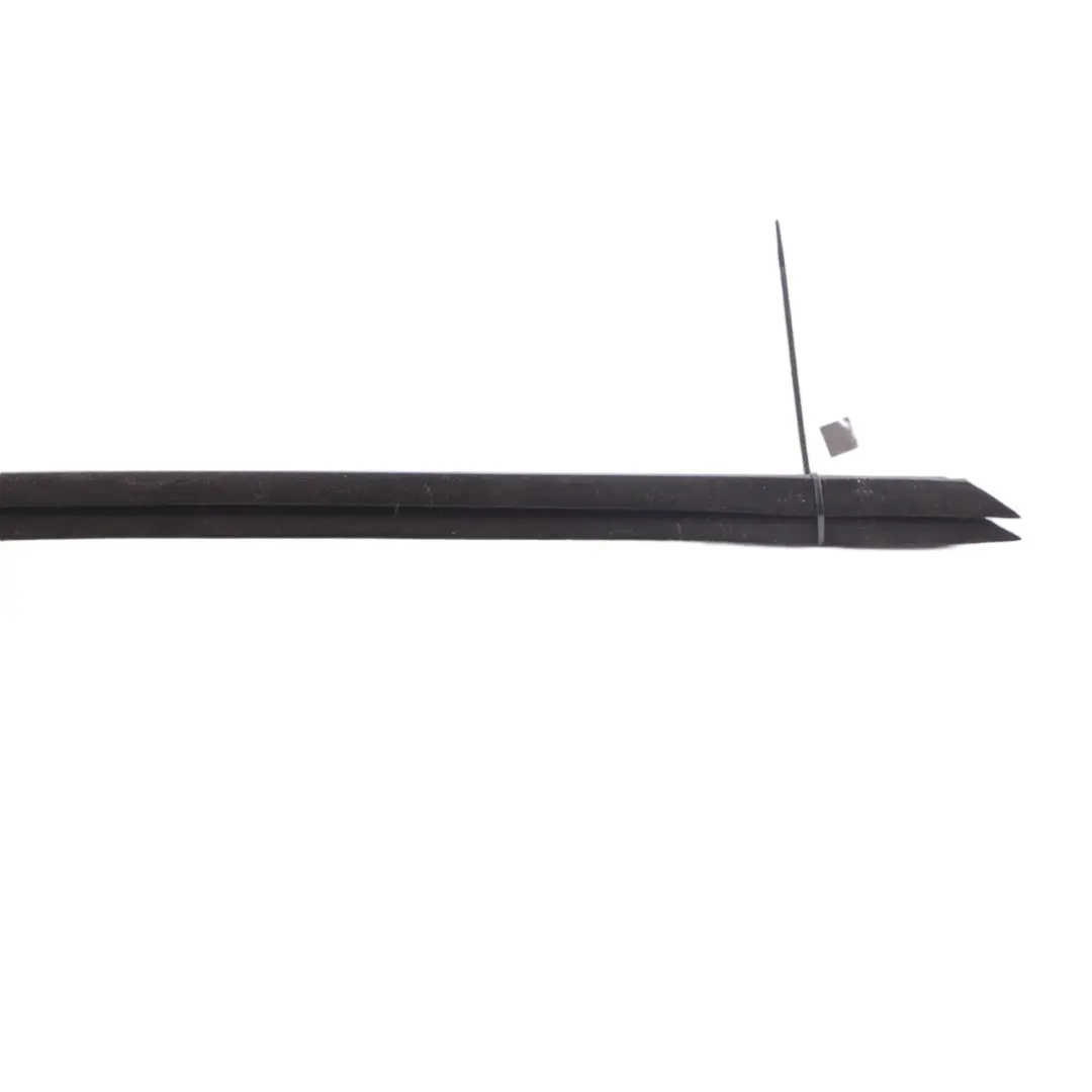 Mini Clubman F54 Door Window Strip Moulding Sealing Front Right O/S - SKU 7344168 - Part number 7344168