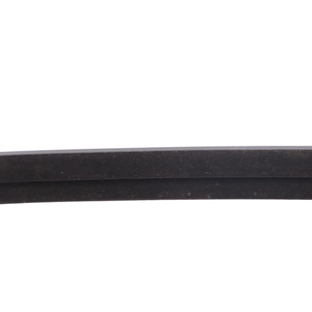 Mini Clubman F54 Door Window Strip Moulding Sealing Front Right O/S - SKU 7344168 - Part number 7344168