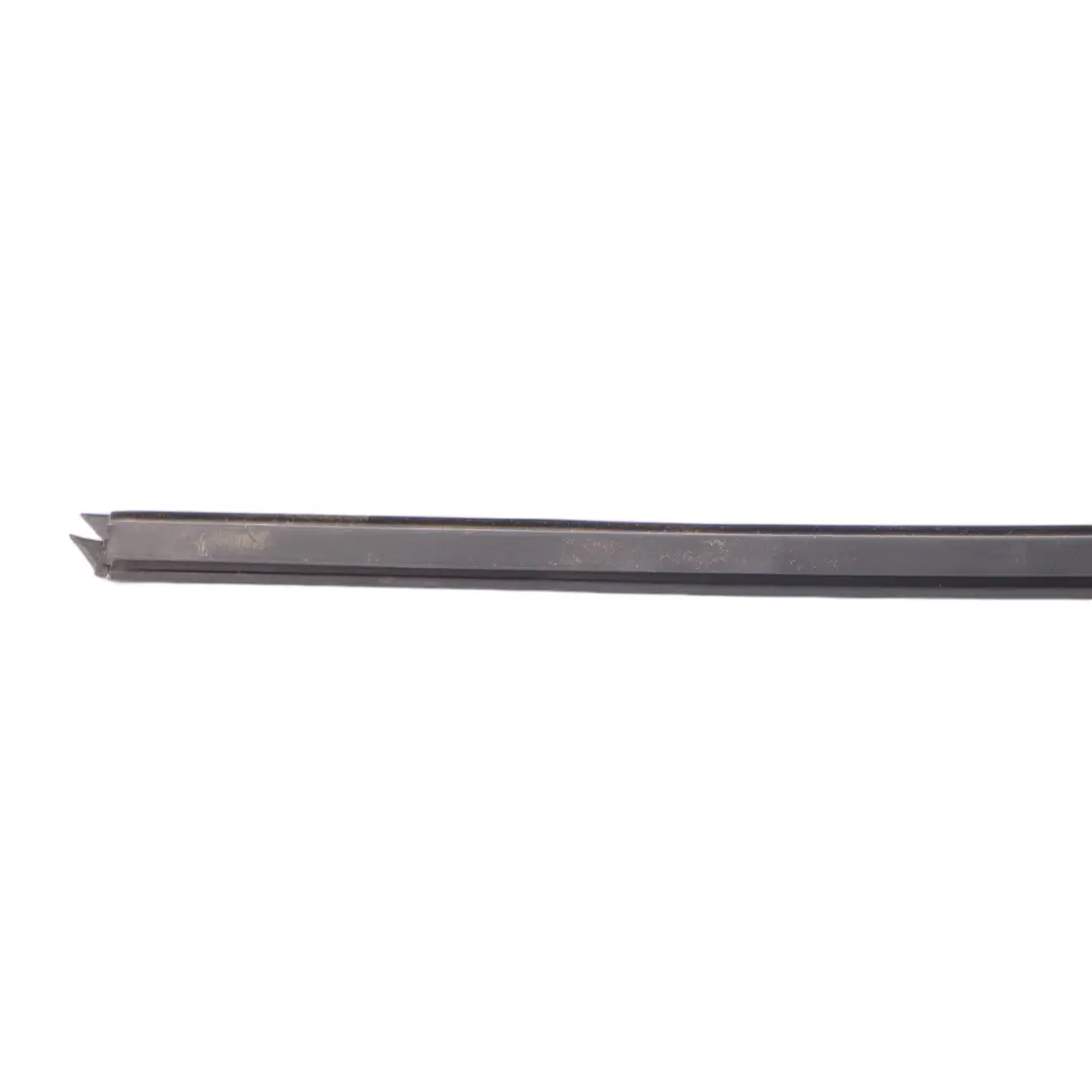 Mini Clubman F54 Door Window Strip Moulding Sealing Front Right O/S - SKU 7344168 - Part number 7344168