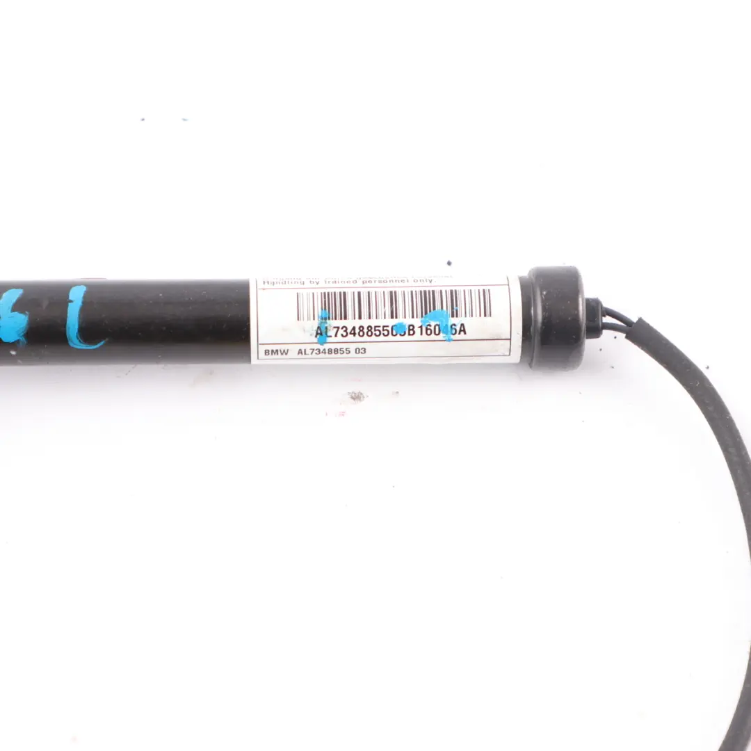 BMW F46 Actuador Bisagra Capó Protección Peatonal Izquierdo - SKU 7348855-1 - Número de pieza 7348855