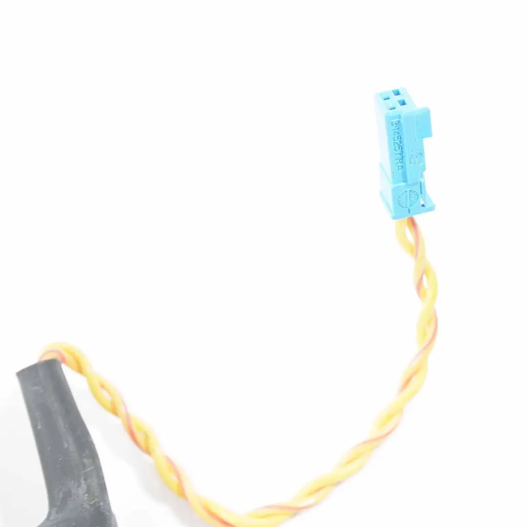 Izquierda Harman Kardon Cubierta Altavoz Espejo Triángulo para BMW F10 F11 LCI con número de pieza 7349009 BMW F10 F11 LCI Izquierda Harman Kardon Cubierta Altavoz Espejo Triángulo - SKU 7349009-1 - Número de pieza 7349009