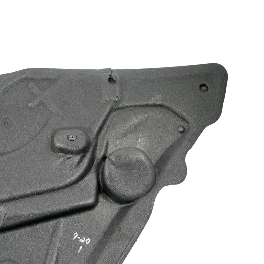 BMW X5 E70 Sound Insulation Door Rear Left N/S Covering Foam 7141042 - SKU 7355616 - Part number 7355616