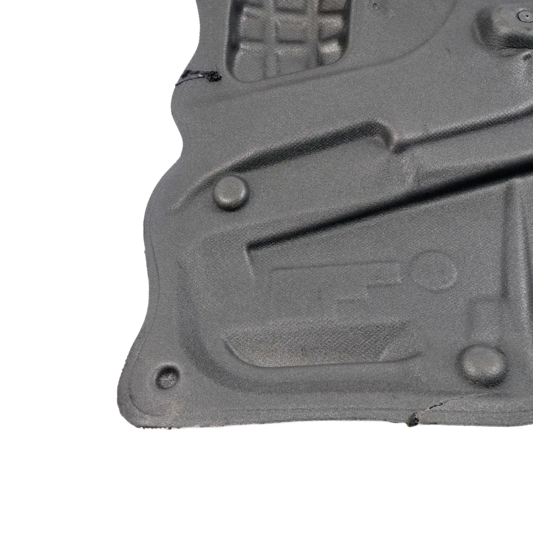 Sound Insulation Door Rear Left N/S Covering Foam 7141042 to BMW X5 E70 with Part number 7355616 BMW X5 E70 Sound Insulation Door Rear Left N/S Covering Foam 7141042 - SKU 7355616 - Part number 7355616