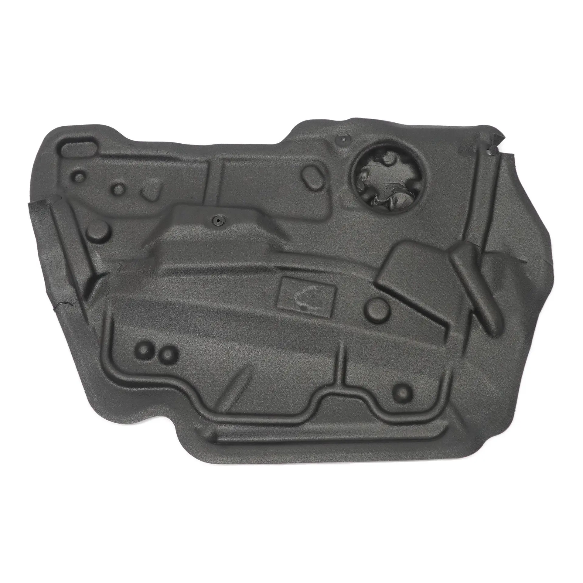 BMW X6 E71 Pannello isolante acustico porta anteriore sinistra tappetino 7350877
