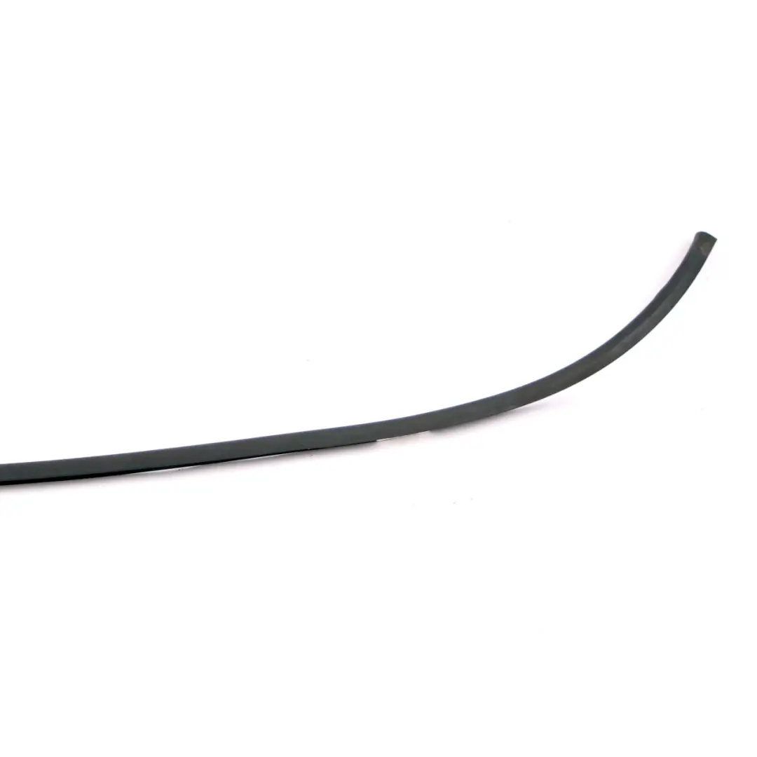 BMW i3 I01 Gasket Seal Sealing Roof Cut Out - SKU 7361005 - Part number 7361005