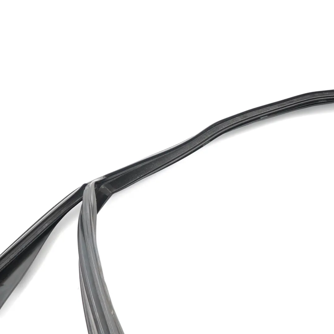 BMW X1 F48 Window Guide Seal Gasket Left N/S Front Door Rubber Strip - SKU 7362237 - Part number 7362237
