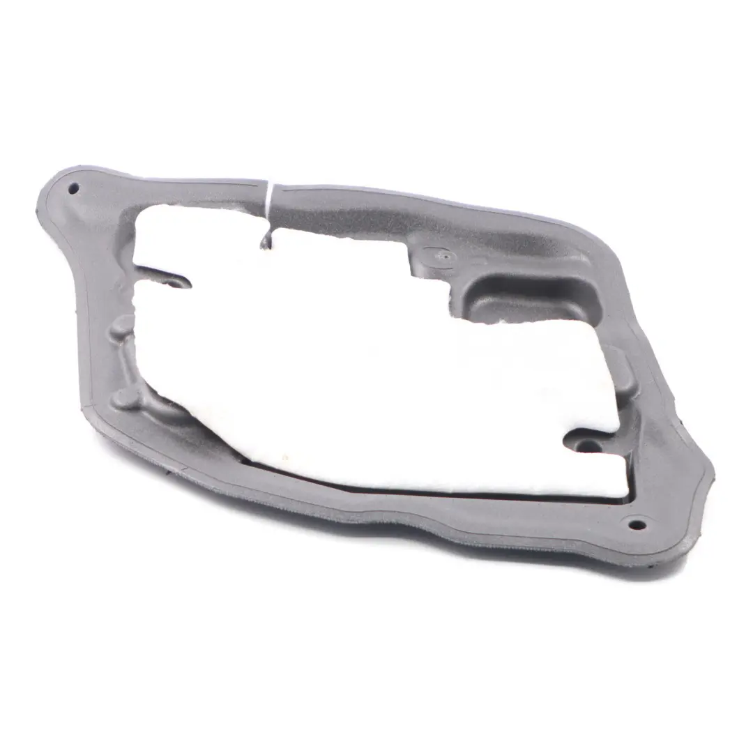 Cubierta Insonorizante BMW F10 F11 Puerta Trasera Izquierda 7254127 para con número de pieza 7366707 Cubierta Insonorizante BMW F10 F11 Puerta Trasera Izquierda 7254127 - SKU 7366707 - Número de pieza 7366707
