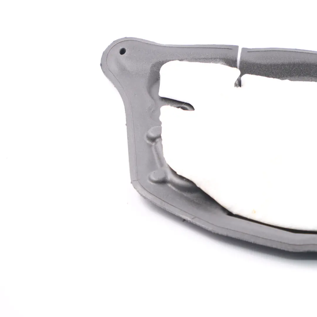  Coperchio Fonoisolante BMW F10 F11 Porta Posteriore Sinistra 7254127 - SKU 7366707 - Numero di parte 7366707