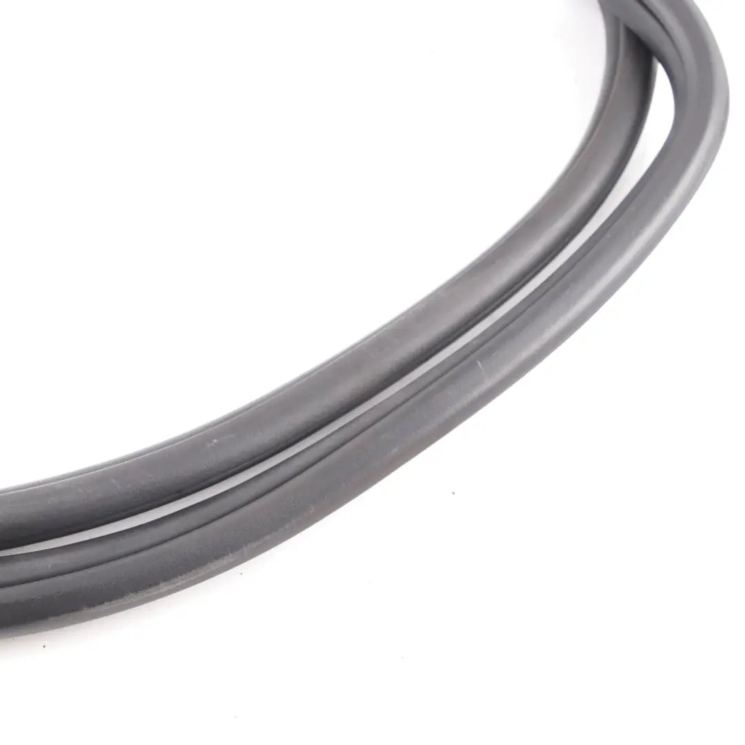 BMW F31 Touring Joint d'étanchéité Porte Arrière Droite - SKU 7377416 - Numéro de pièce 7377416