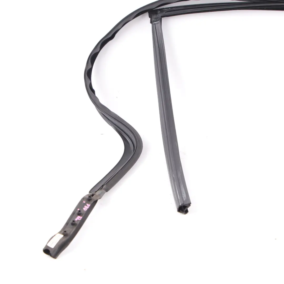 Guarnizione Tenuta Porta Posteriore Guida Finestrino Sinistra per BMW G30 con numero di parte 7381281 BMW G30 Guarnizione Tenuta Porta Posteriore Guida Finestrino Sinistra - SKU 7381281 - Numero di parte 7381281