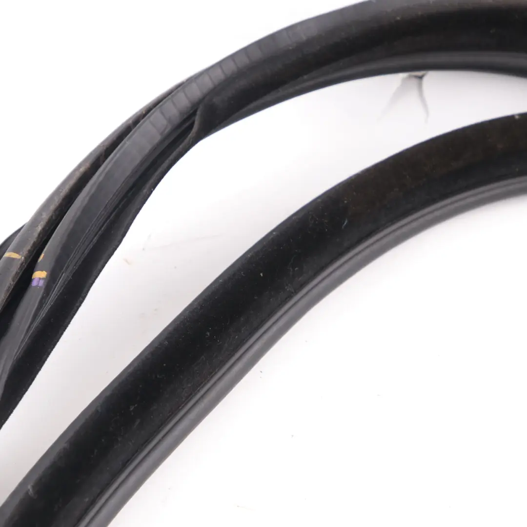 BMW F34 GT Türdichtung Kantenschutz hinten rechts Dichtung schwarz - SKU 7385028 - Teilenummer 7385028