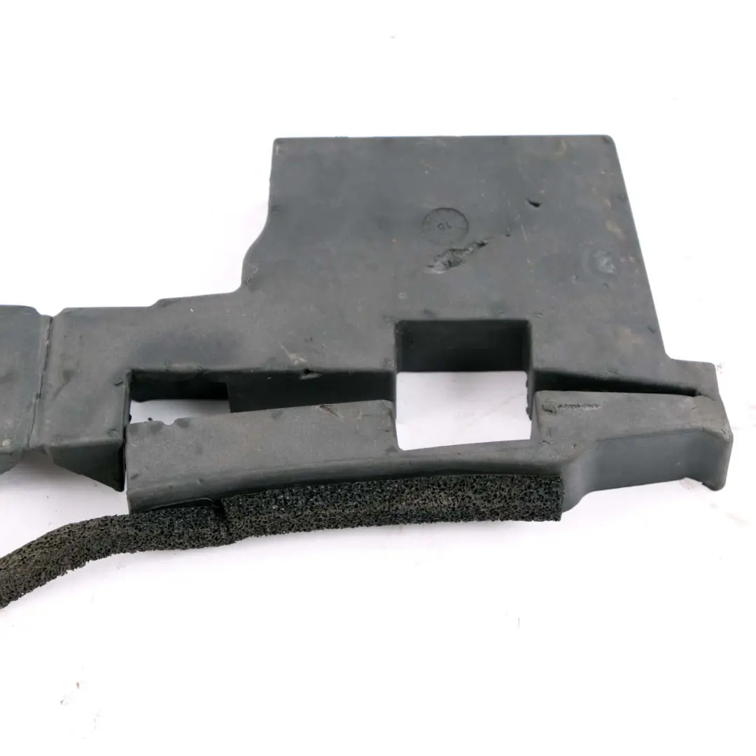 Foam Pad Door Panel Trim Rear Left N/S Protecting to BMW i3 I01 with Part number 7387879 BMW i3 I01 Foam Pad Door Panel Trim Rear Left N/S Protecting - SKU 7387879 - Part number 7387879