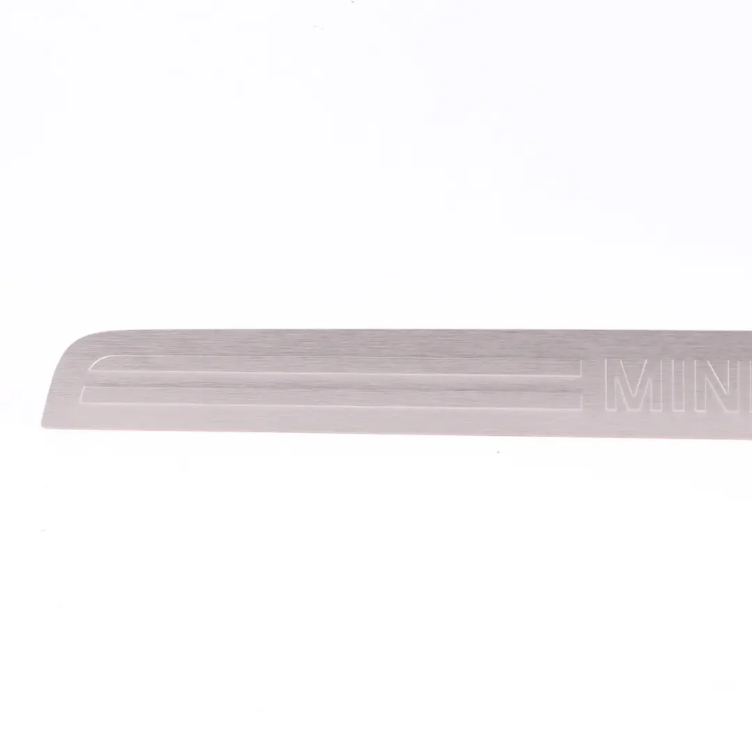 Eingangsabdeckung Zierleiste Vorne Links Rechts Leiste für Mini F60 Countryman mit Teilenummer 7389348 Mini F60 Countryman Eingangsabdeckung Zierleiste Vorne Links Rechts Leiste - SKU 7389348 - Teilenummer 7389348