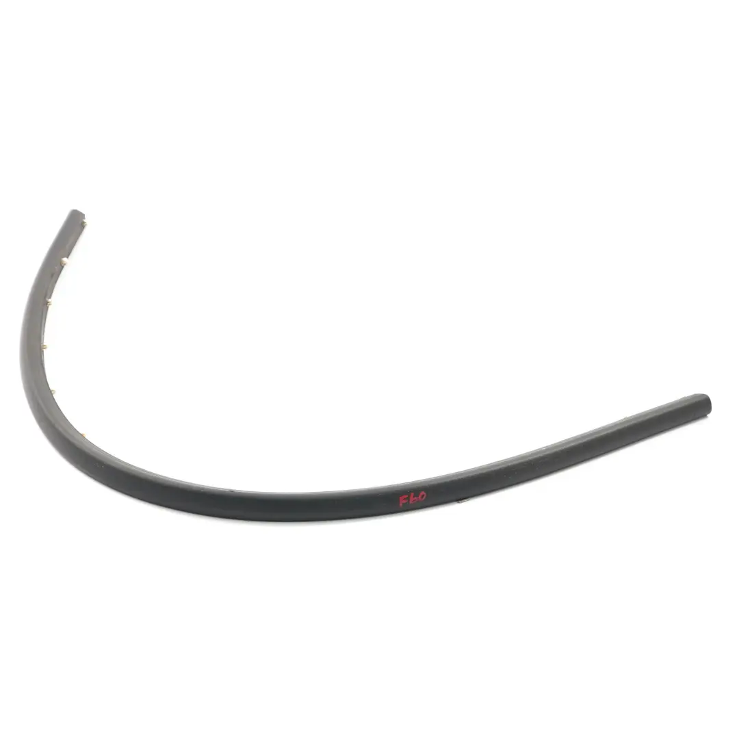 Mini F60 Sealing Inside Front Left Right N/O/S Door Gasket Seal Skirt - SKU 7390056 - Part number 7390056