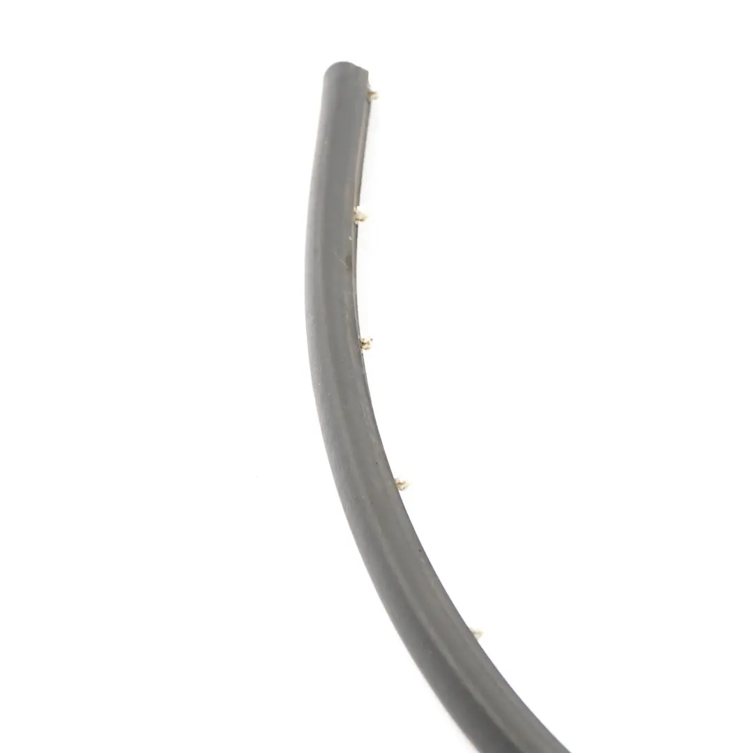 Sealing Inside Front Left Right N/O/S Door Gasket Seal Skirt to Mini F60 with Part number 7390056 Mini F60 Sealing Inside Front Left Right N/O/S Door Gasket Seal Skirt - SKU 7390056 - Part number 7390056