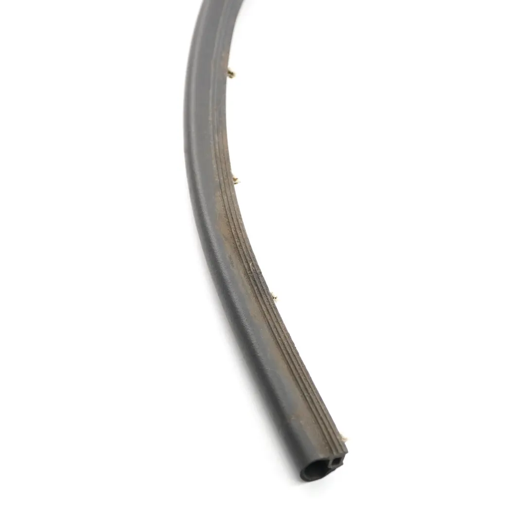 Mini F60 Dichtung Innen Vorne Links Rechts Türdichtung Dichtung Schürze - SKU 7390056 - Teilenummer 7390056