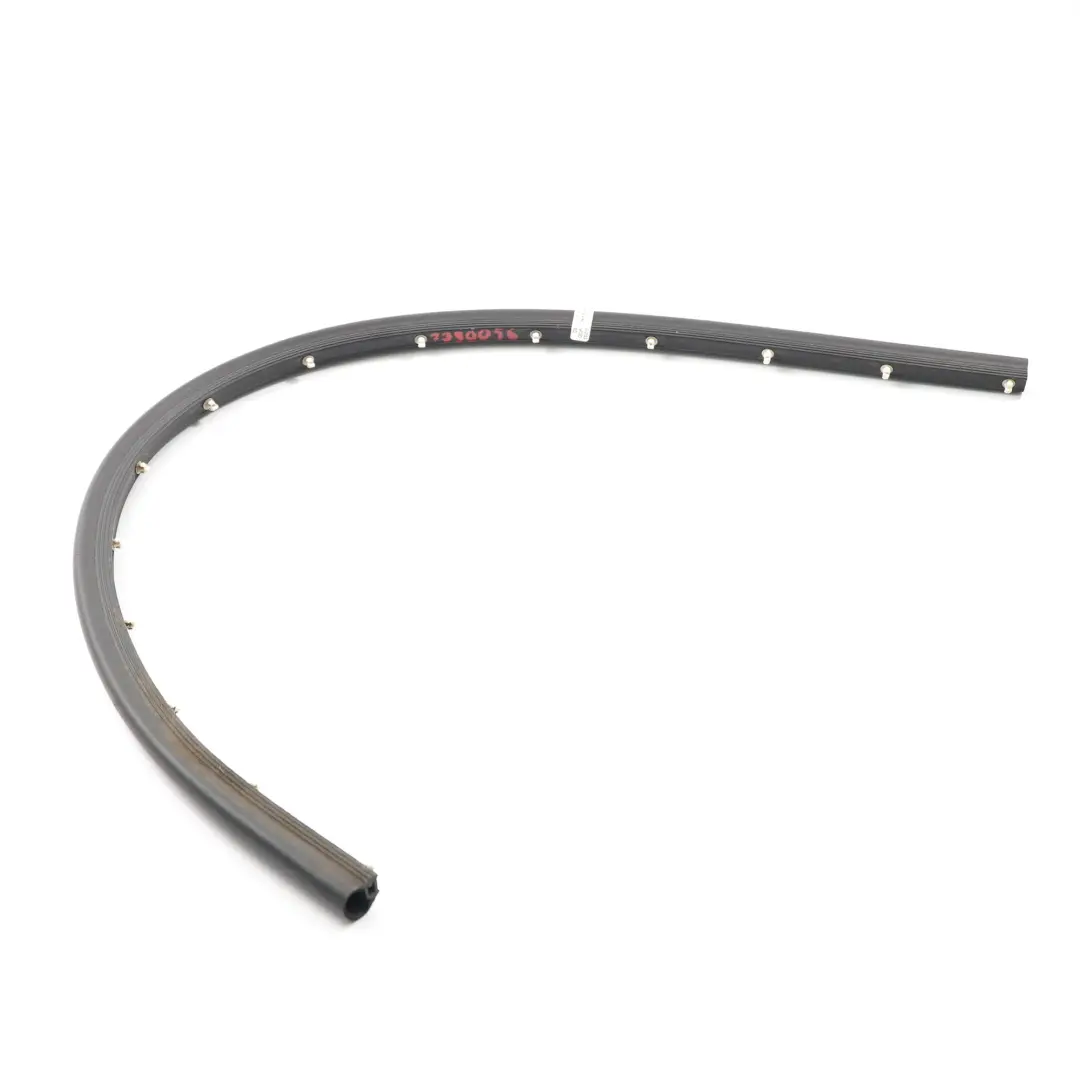 Mini F60 Sealing Inside Front Left Right N/O/S Door Gasket Seal Skirt - SKU 7390056 - Part number 7390056