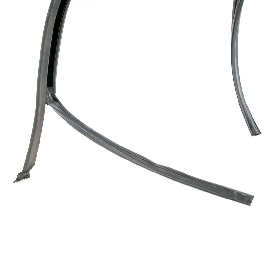 Mini F60 Countryman Porta Guida Guarnizione Finestra Anteriore Sinistra - SKU 7390093 - Numero di parte 7390093