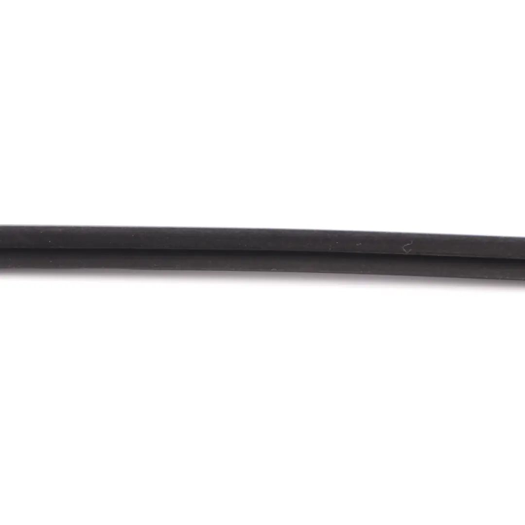 Mini Countryman F60 Fenster Dichtung Dichtung Tür Vorne Rechts Kanal - SKU 7390098 - Teilenummer 7390098