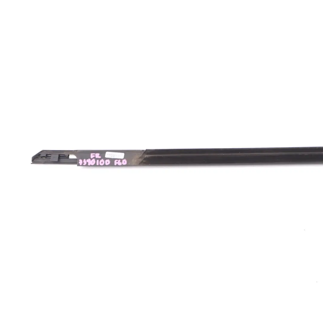 Mini F60 Burlete Puerta Delantera Derecha Junta Cromada precinto - SKU 7390100 - Número de pieza 7390100