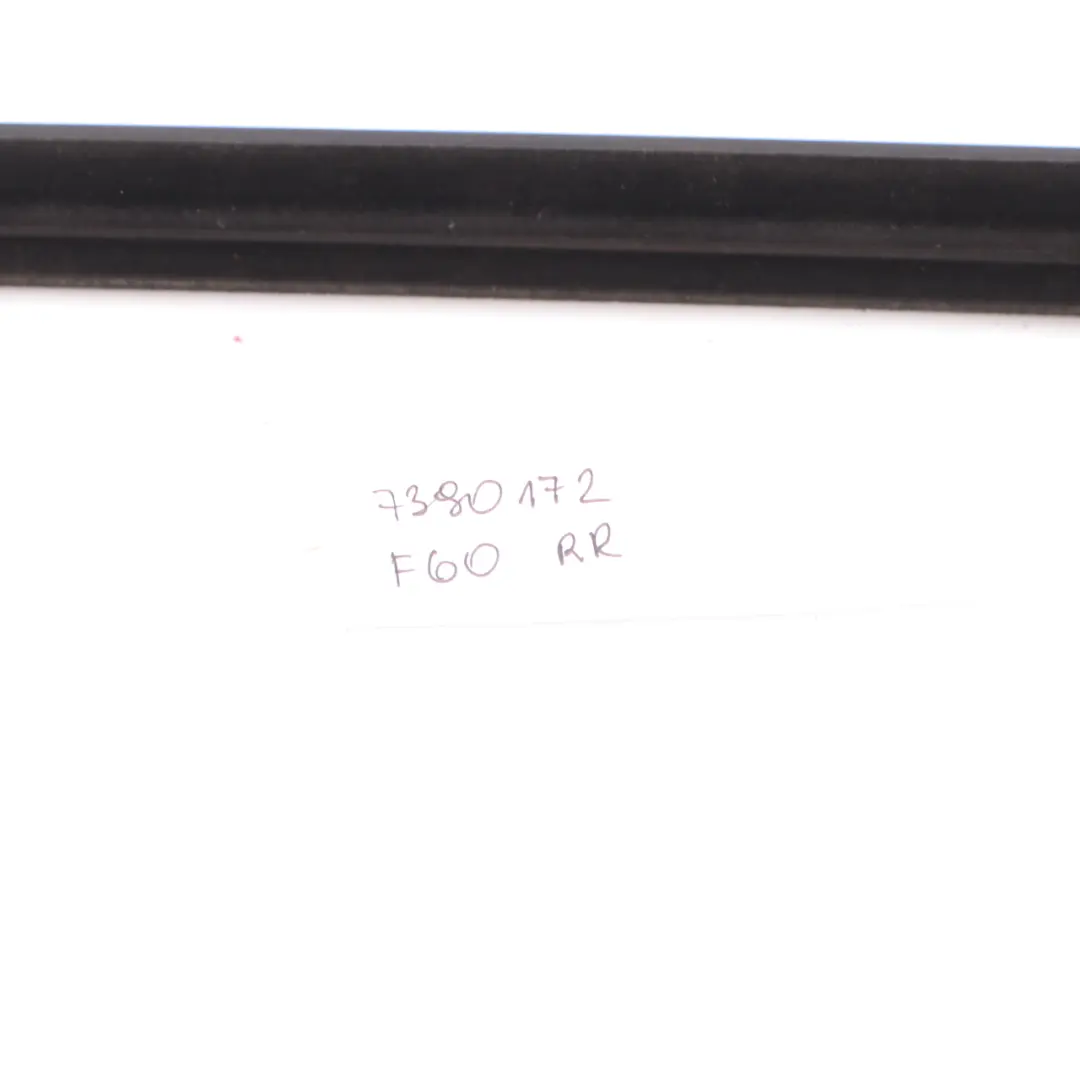 Mini F60 Window Weatherstrip Door Rear Right O/S Chrome Strip Seal - SKU 7390172 - Part number 7390172